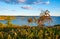 Sunset over Oslofjord harbor of Nakholmen island within Oslo Harbor archipelago near Oslo, Norway, with grassy seashore and