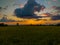 Sunset over the paddy field