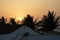 Sunset over the Palm of Gambia Africa