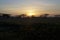 Sunset over Palo Verde  841163
