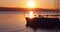 Sunset over peaceful lake, water ducks and swans floating over golden water