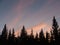 Sunset over Pine Trees