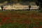 Sunset Over a Poppies Meadow