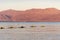 Sunset over the Red sea with pink orange mountains on the background. Eilat, Aqaba, Israel, Jordan