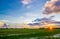 sunset over rice fields