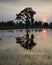 Sunset over rice fields Asia weather patterns