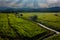 Sunset over the rice fields in Thailand