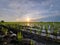 Sunset over rice paddy field in Sekinchan.