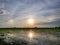 Sunset over rice paddy field in Sekinchan.