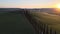 Sunset Over the Rolling Hills of Tuscany, Italy With a Cypress-Lined Driveway