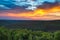 Sunset over rubber cashew trees industrial plantation agriculture in Banlung, Ratanakiri, East Cambodia