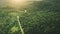 Sunset over rural road at pine forest aerial view. Country roadway with cars in sun set soft light