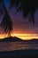 Sunset over SanYa with coconut tree framing the sunset