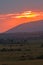 Sunset over the savanna in Masai Mara. Kenya