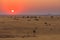 Sunset over the savannah. Beautiful landscape. Solitaire, Namibia