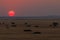 Sunset over the savannah. Beautiful landscape. Solitaire, Namibia