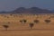 Sunset over the savannah. Beautiful landscape. Solitaire, Namibia