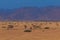 Sunset over the savannah. Beautiful landscape. Solitaire, Namibia