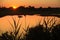 Sunset over tidal lagoon with silhouettes, Hammonasset Beach, Ma