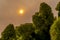 Sunset Over Trees During Wildfire in Oregon