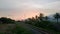 Sunset over Tropical Palm trees and the Railways in Kampot