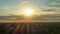 Sunset over Vilnius with balloons and TV Tower, Lithunia, time-lapse