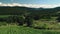 Sunset over vineyard field in valley, Europe. Aerial view. Video.