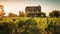 Sunset over vineyard, winery industry in Napa generated by AI