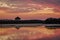 Sunset over water - Merritt Island Wildlife Refuge, Florida