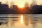 Sunset over the water with silhouette of houses and trees in the background