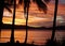 Sunset over the water, with silhouette of palm trees.