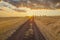 Sunset over wheat field