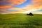 Sunset over wheat fields in Palouse