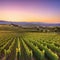 Sunset over winery harvests autumn grapes generated by