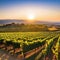 Sunset over winery harvests autumn grapes generated by