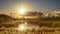 Sunset over the Wirral Mersey view country park