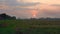 Sunset at Paddy Field