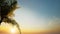 Sunset palm leaves Landscape island beautiful view