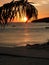 Sunset palm palmtree sun dawn sea ocean shadow orange