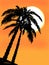 Sunset and palm silhouette background