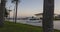 Sunset through palm trees with view to the putrajaya mosque, Malaysia