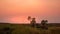 Sunset in Palwag lodge in Damaraland, Namibia