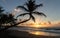 Sunset, paradise beach and palm trees, Martinique island.