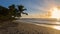 Sunset, paradise beach and palm trees, Martinique island.