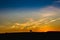 Sunset in the pasture of Extremadura with the silhouette of a cow grazing in the field