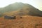 Sunset Peak grassland view with abandoned stone house