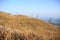 Sunset Peak grassland view with abandoned stone house in winter under the sun light in Hong Kong Lantau