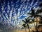 Sunset with pillow clouds and palm trees in Islamorada Florida keys