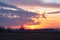 Sunset Po Valley landscape panorama fields crops