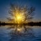 Sunset push through the tree silhouette reflected in water